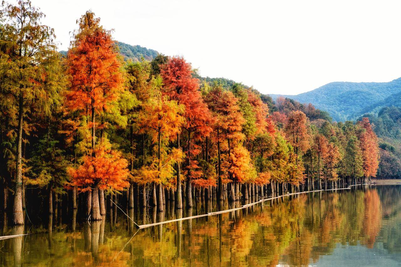 秋季浙江周边一日游推荐，带娃打卡网红赏秋地