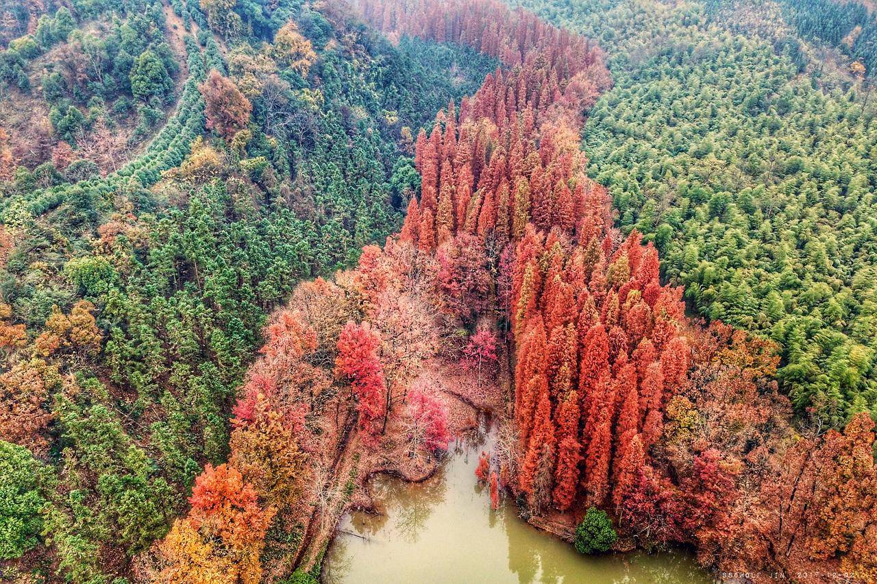 秋季浙江周边一日游推荐，带娃打卡网红赏秋地
