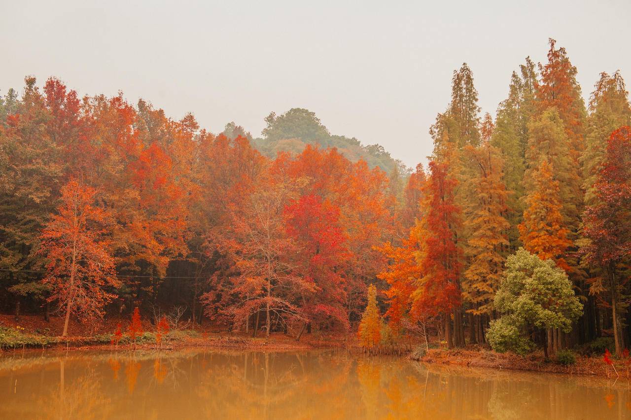 秋季浙江周边一日游推荐，带娃打卡网红赏秋地