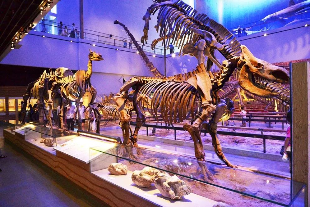 地址:海珠区南华东路(海珠桥天光墟)                   广东省博物馆