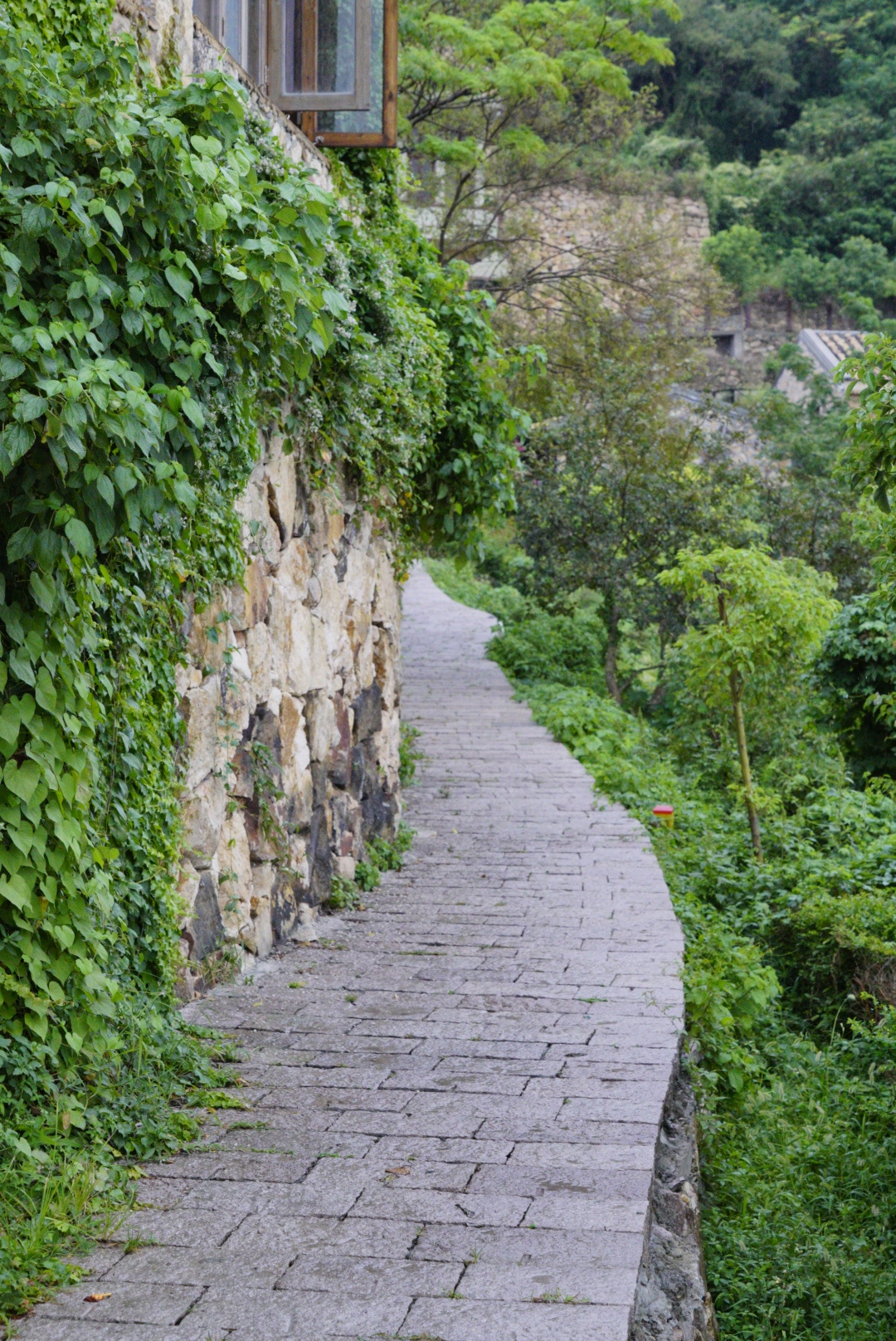 溫嶺石塘 小箬村,中國的七彩五漁村(私藏美食小店推薦)