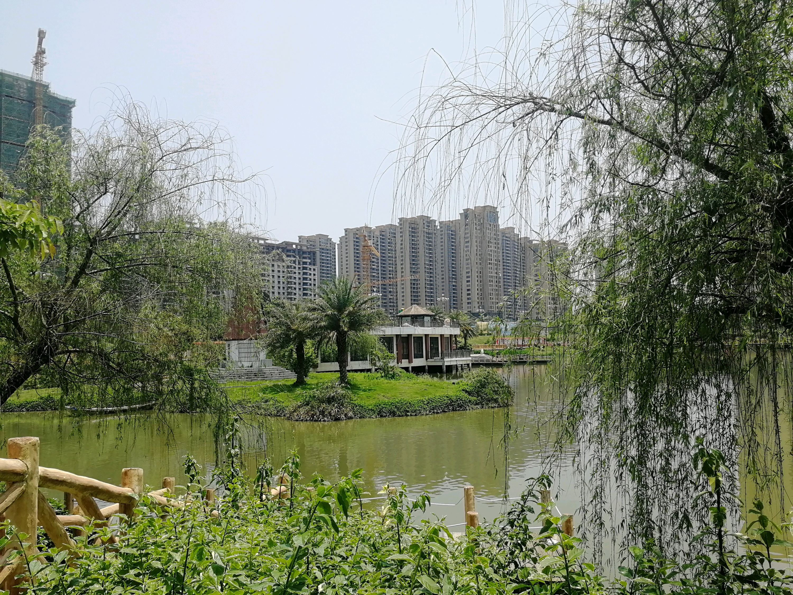 漳浦江滨公园上吊图片