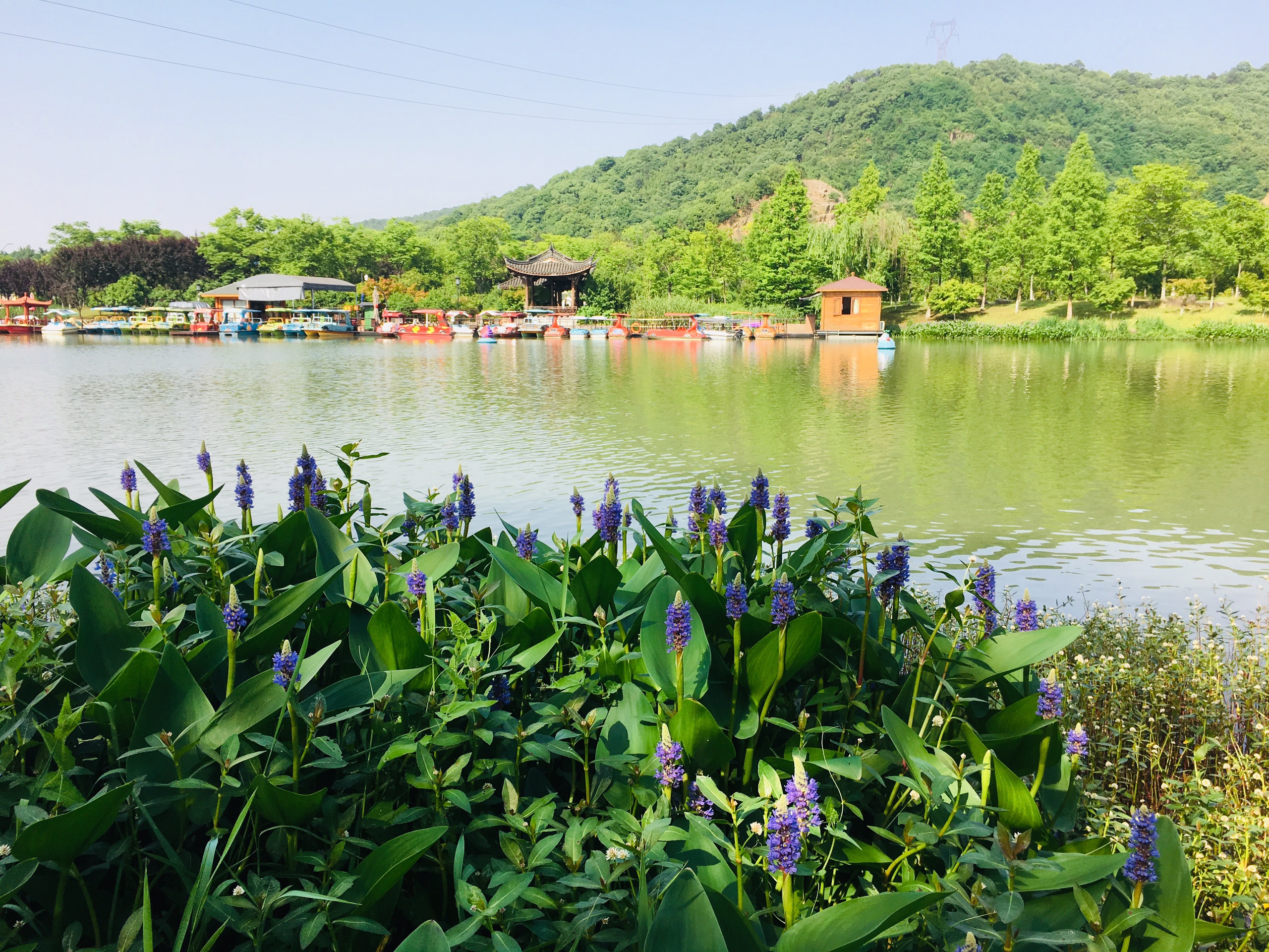 湘湖旅遊度假區石巖山船埠