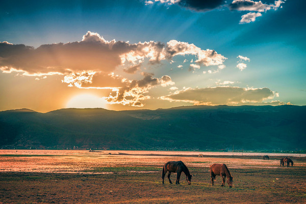 丽江 自由行攻略                           不同季节去拉市海可以