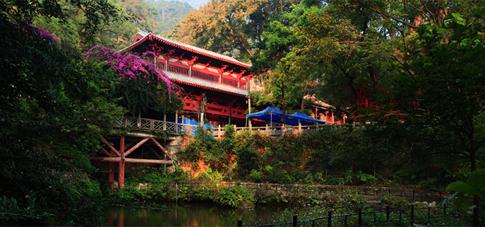 廣西旅遊景點貴港桂平西山景區大門票電子票