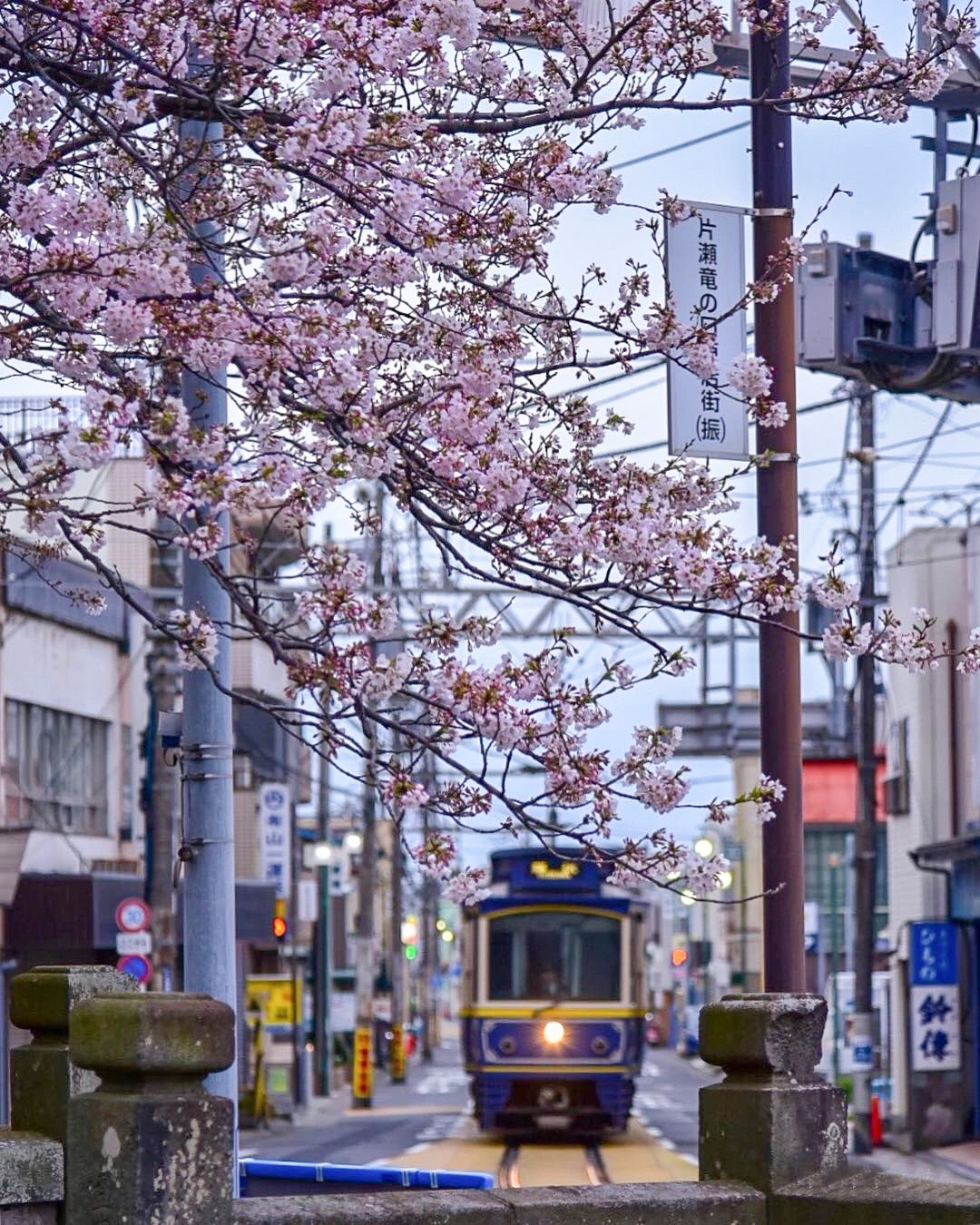镰仓旅游攻略:满足对青春和恋爱的所有幻想!
