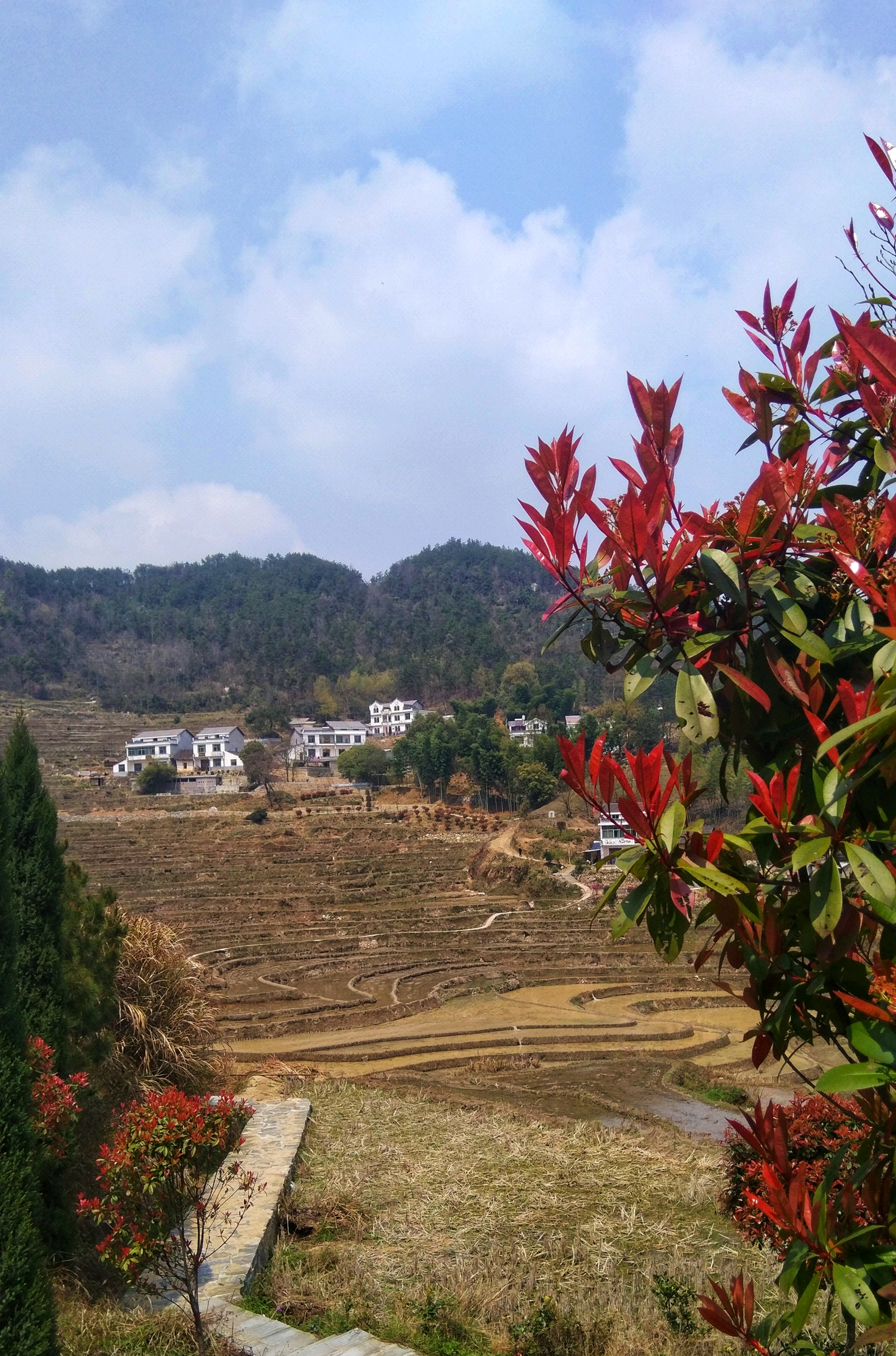 蘄春旅遊圖片,蘄春自助遊圖片,蘄春旅遊景點照片 - 馬蜂窩圖庫 - 馬