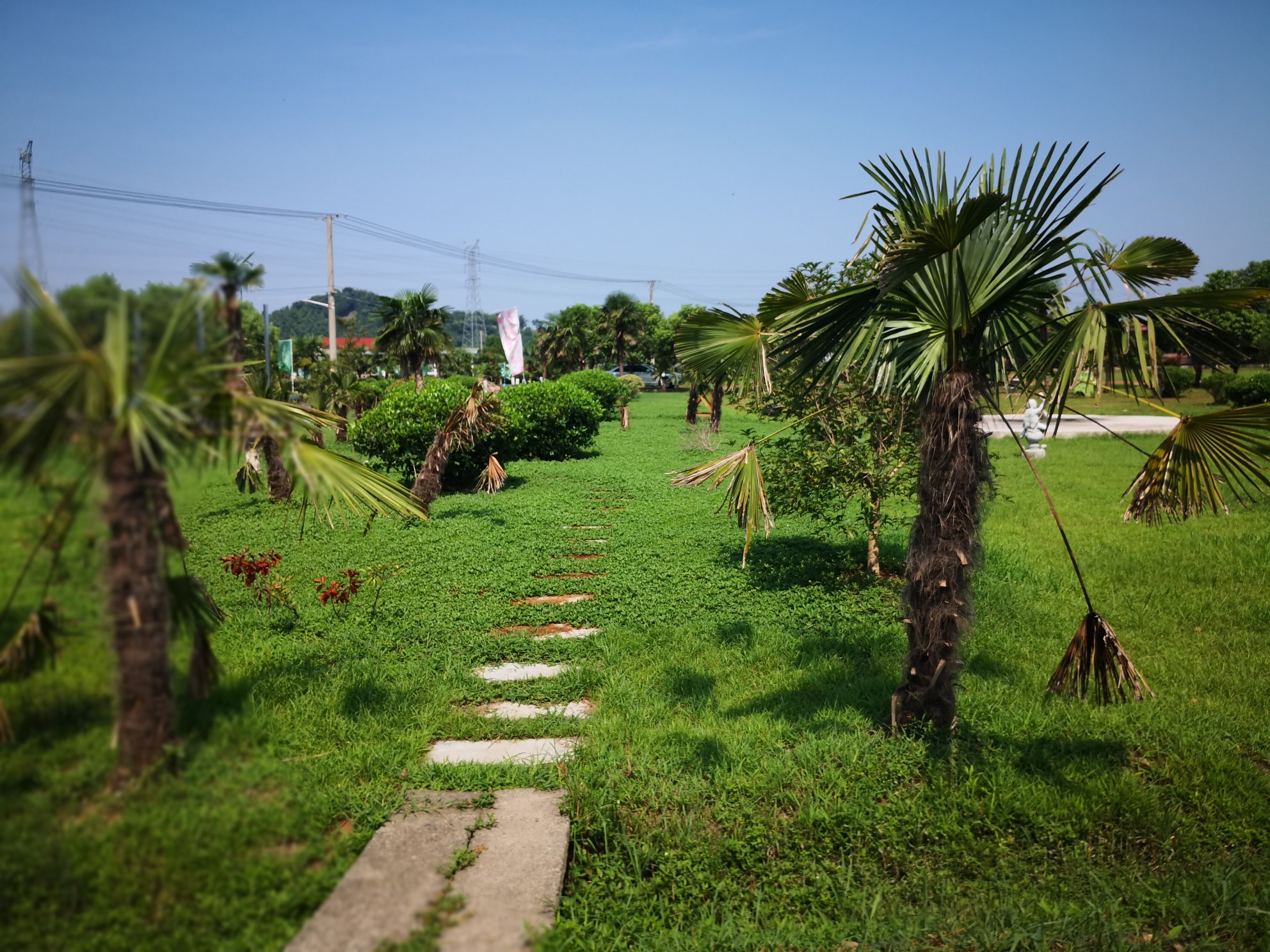 自驾旅行中国浙江:七十四,中国台湾村玲珑湾.