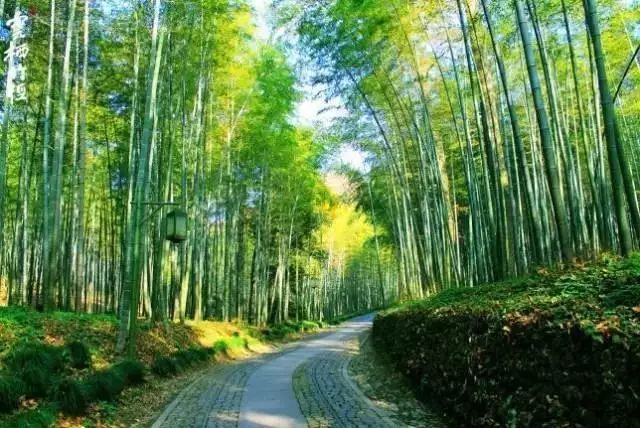 浙江这8个小众旅行地,超适合春天自驾游玩!