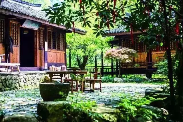 浙江这8个小众旅行地,超适合春天自驾游玩!