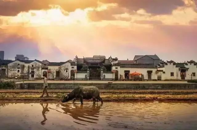 浙江这8个小众旅行地,超适合春天自驾游玩!