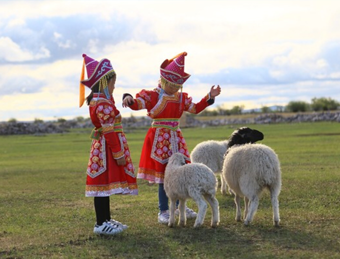              和小羊嬉戏的蒙古族