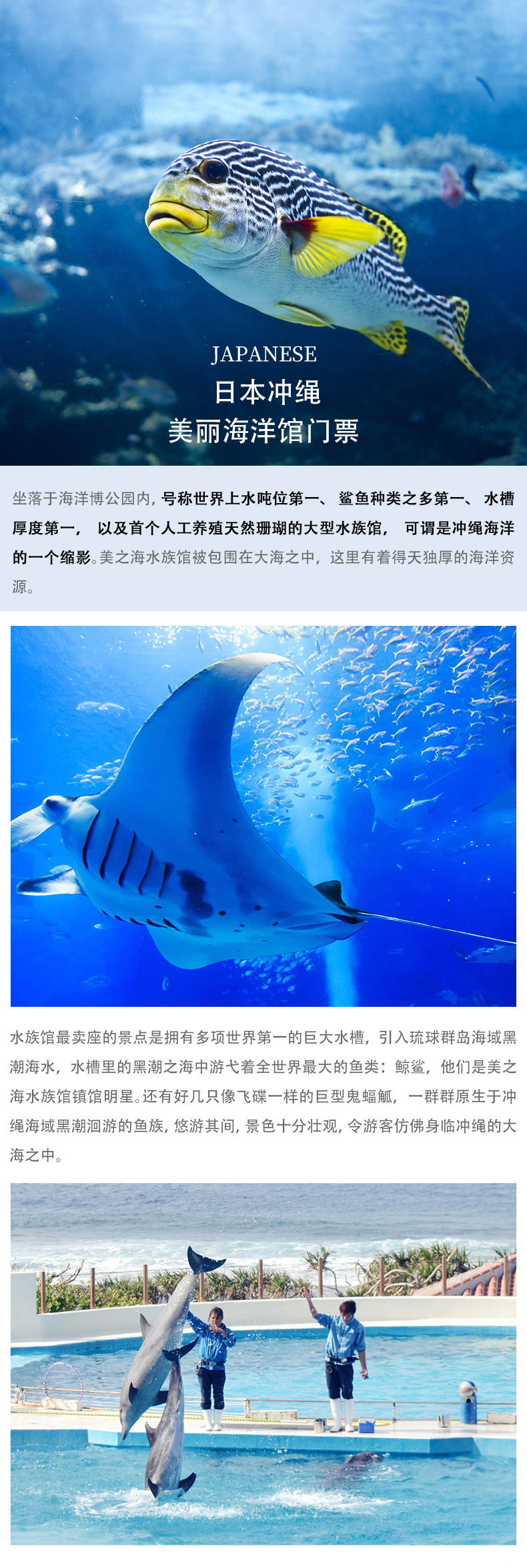 日本冲绳美丽海水族馆海洋馆景点门票指定柜台兑换实体票 马蜂窝自由行 马蜂窝自由行