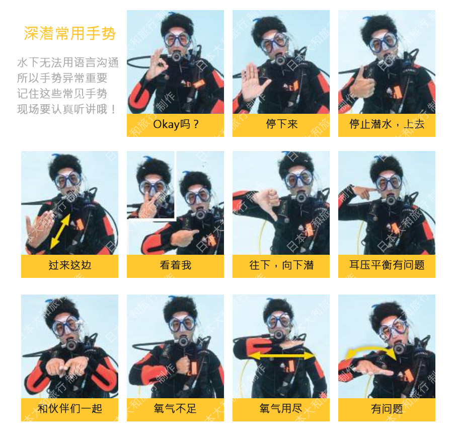 水下无法用语言沟通,所以潜水的手势异常重要哦.现场教练也会讲解的.