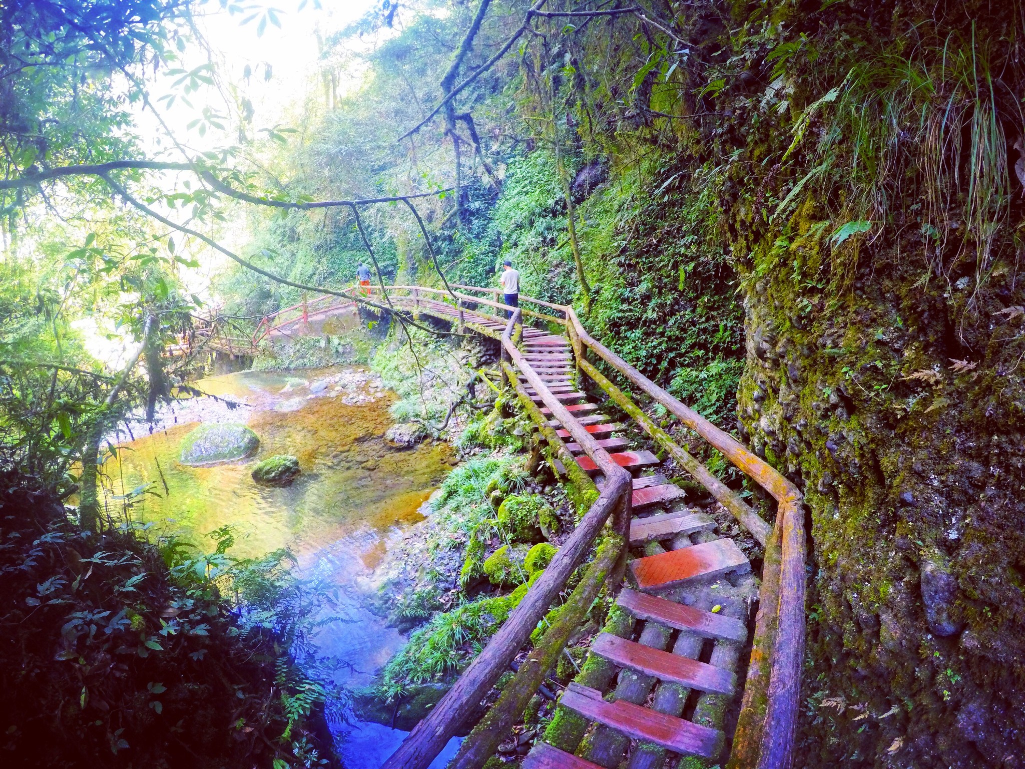 青城山龙隐峡栈道图片