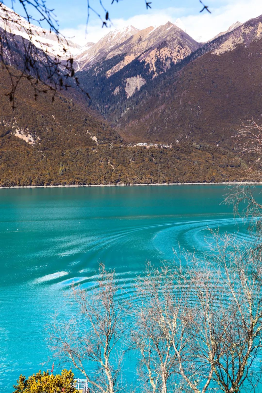 西藏 自由行攻略                     西藏有好几个圣湖,神湖却只有