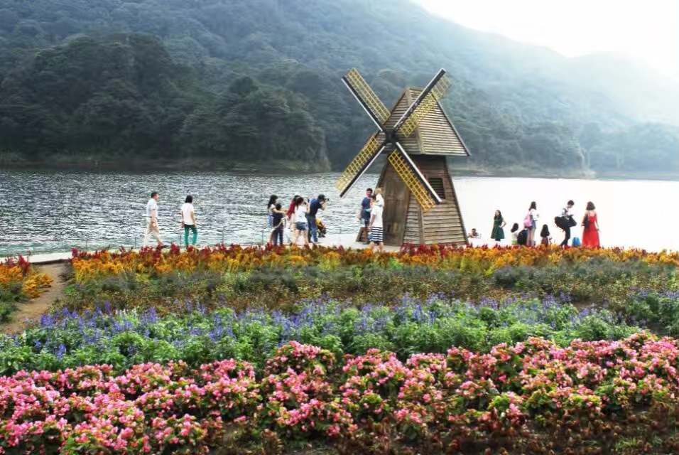 廣州從化石門森林公園悠雅居別墅