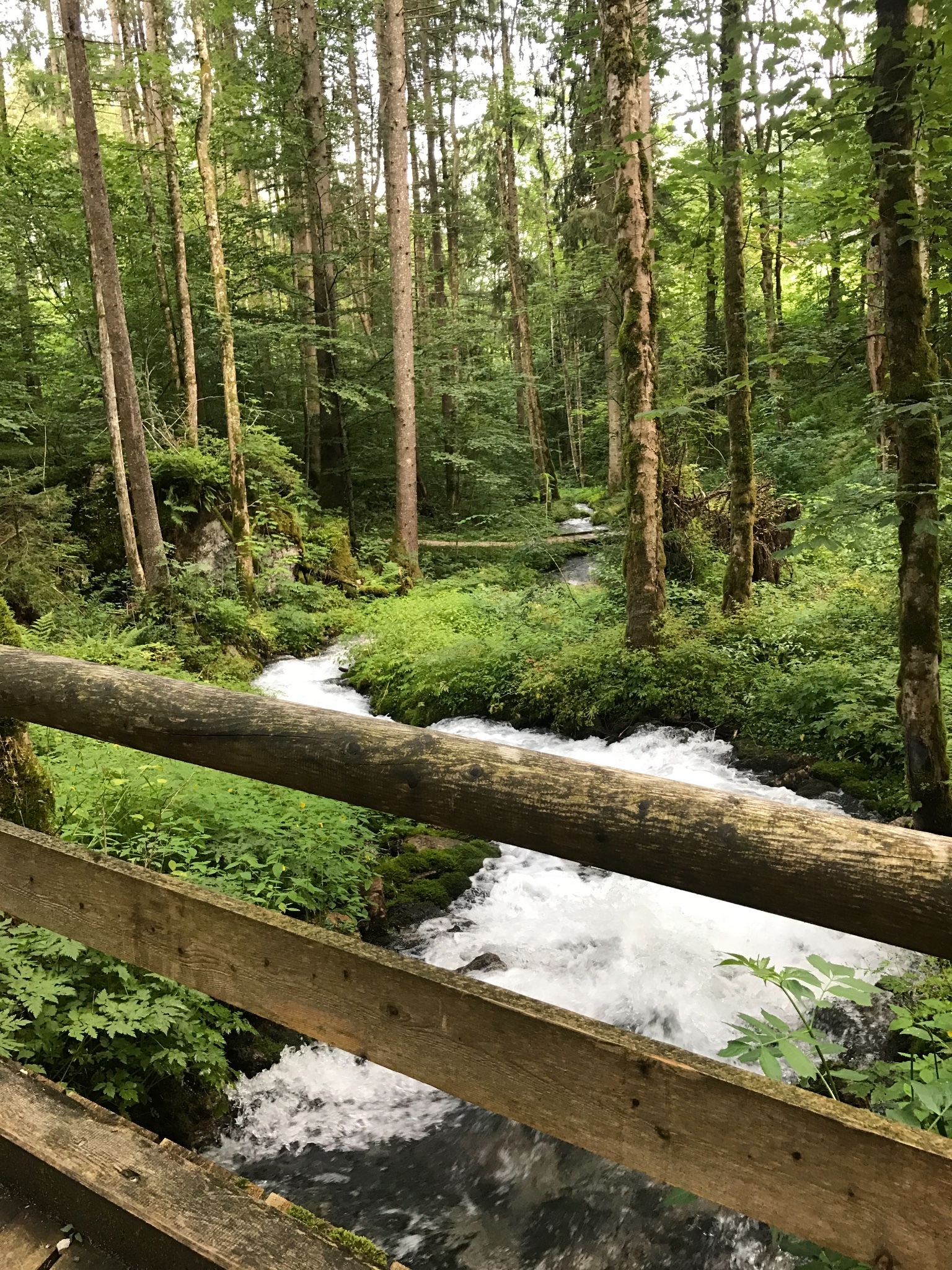 德国奥地利捷克17日自驾旅游攻略:生活在别处—生活永远在别处,风景