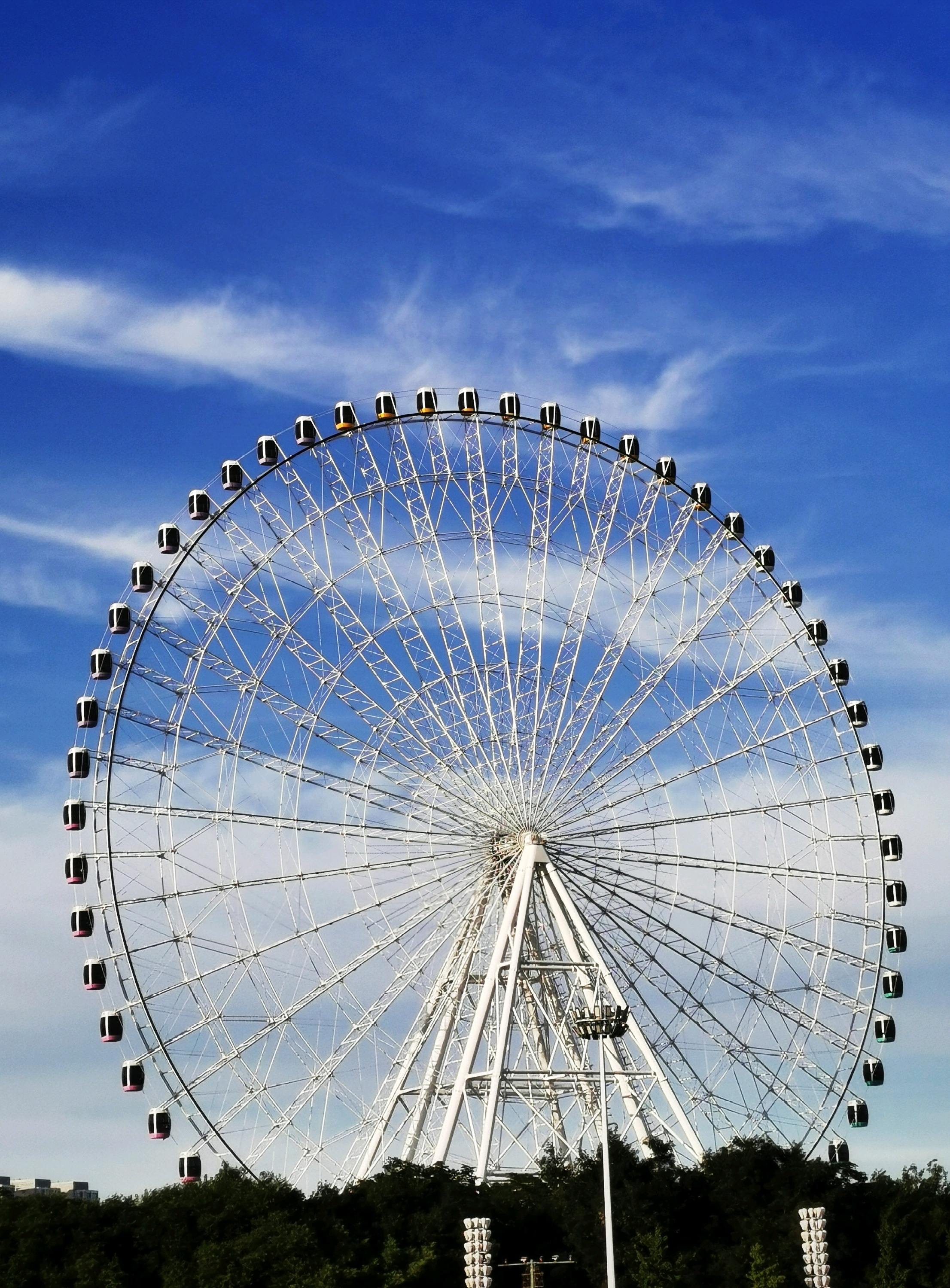 【潍坊景点图片】富华游乐园