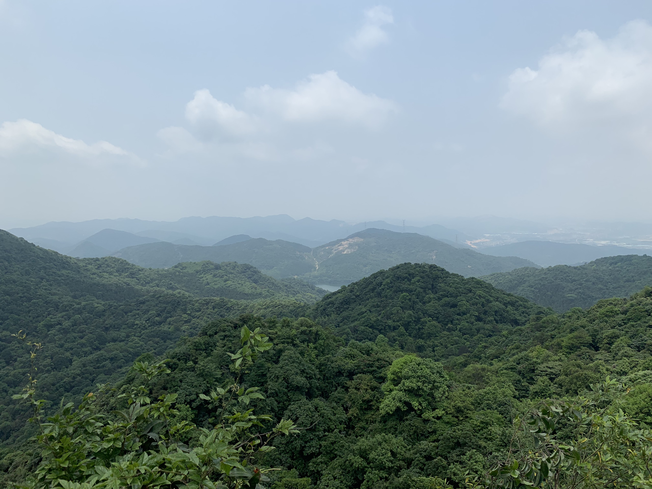 【花都景点图片】王子山森林公园