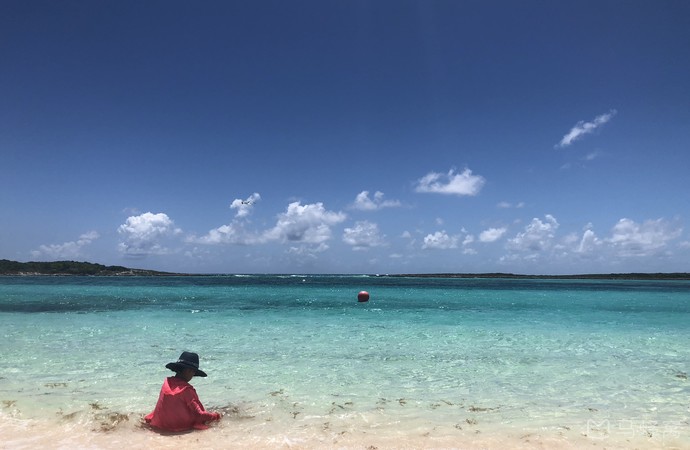 巴哈马蜥蜴岛喂蜥蜴旅游图片,巴哈马蜥蜴岛喂蜥蜴自助游图片,巴哈马