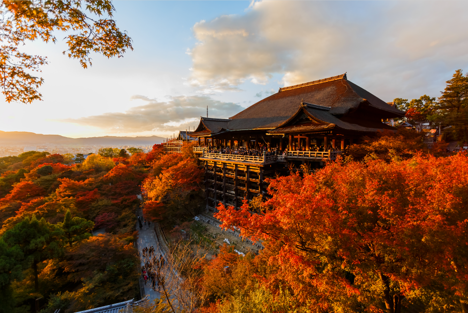 穿过临海小镇 与童话邂逅日本九州5晚6日定制之旅( 体验teamlab科技