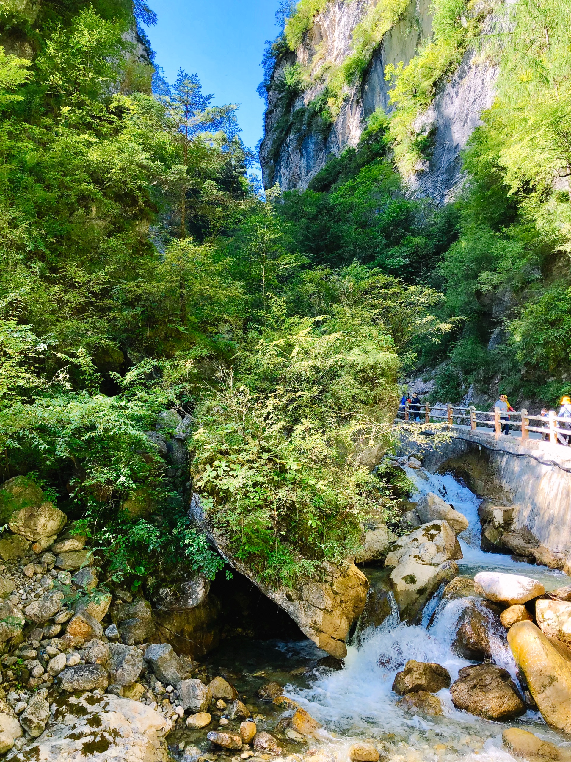 隴南旅遊圖片,隴南自助遊圖片,隴南旅遊景點照片 - 馬蜂窩圖庫 - 馬