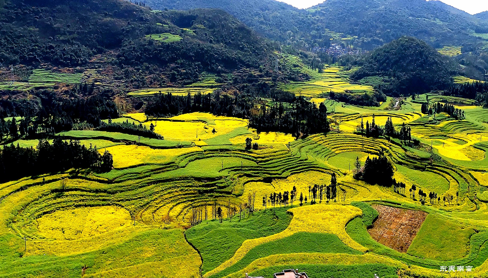 罗平网站建设服务_(罗平网站建设服务公司)