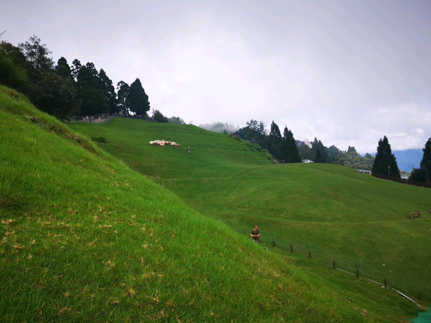 清境溫度清境合歡山旅遊網 Qhcoh