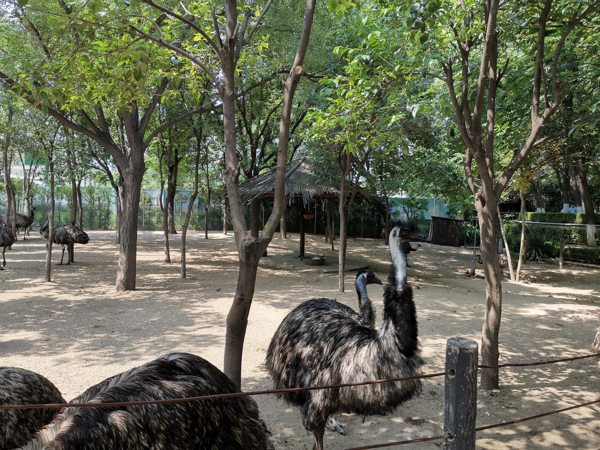 河南自駕之旅—鄭州,雲臺山,洛陽,登封,河南旅遊攻略 - 馬蜂窩