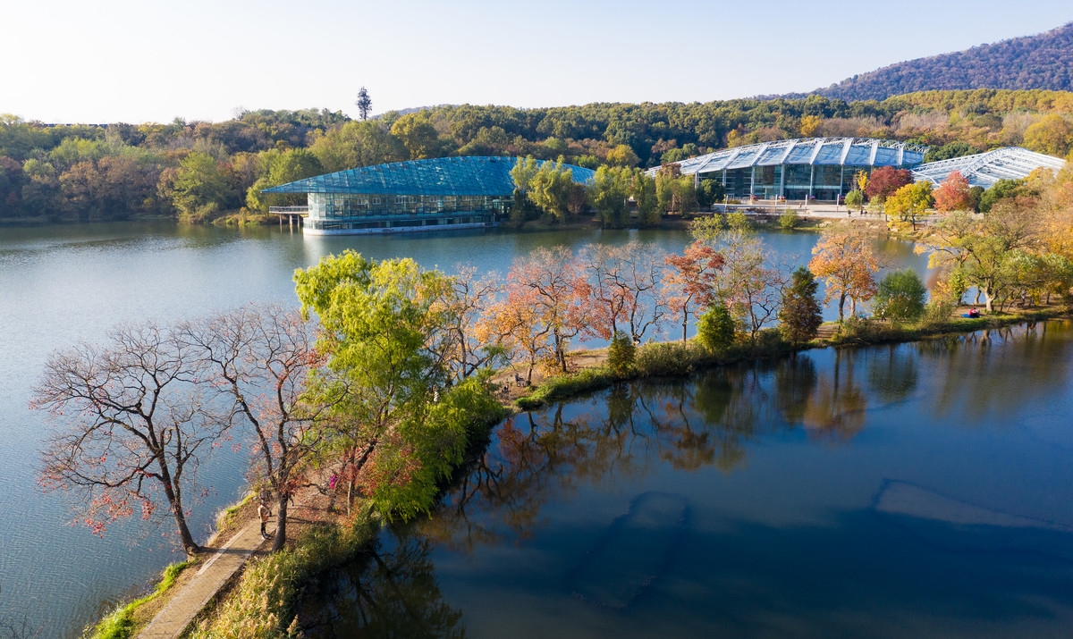 秋天的南京中山植物园