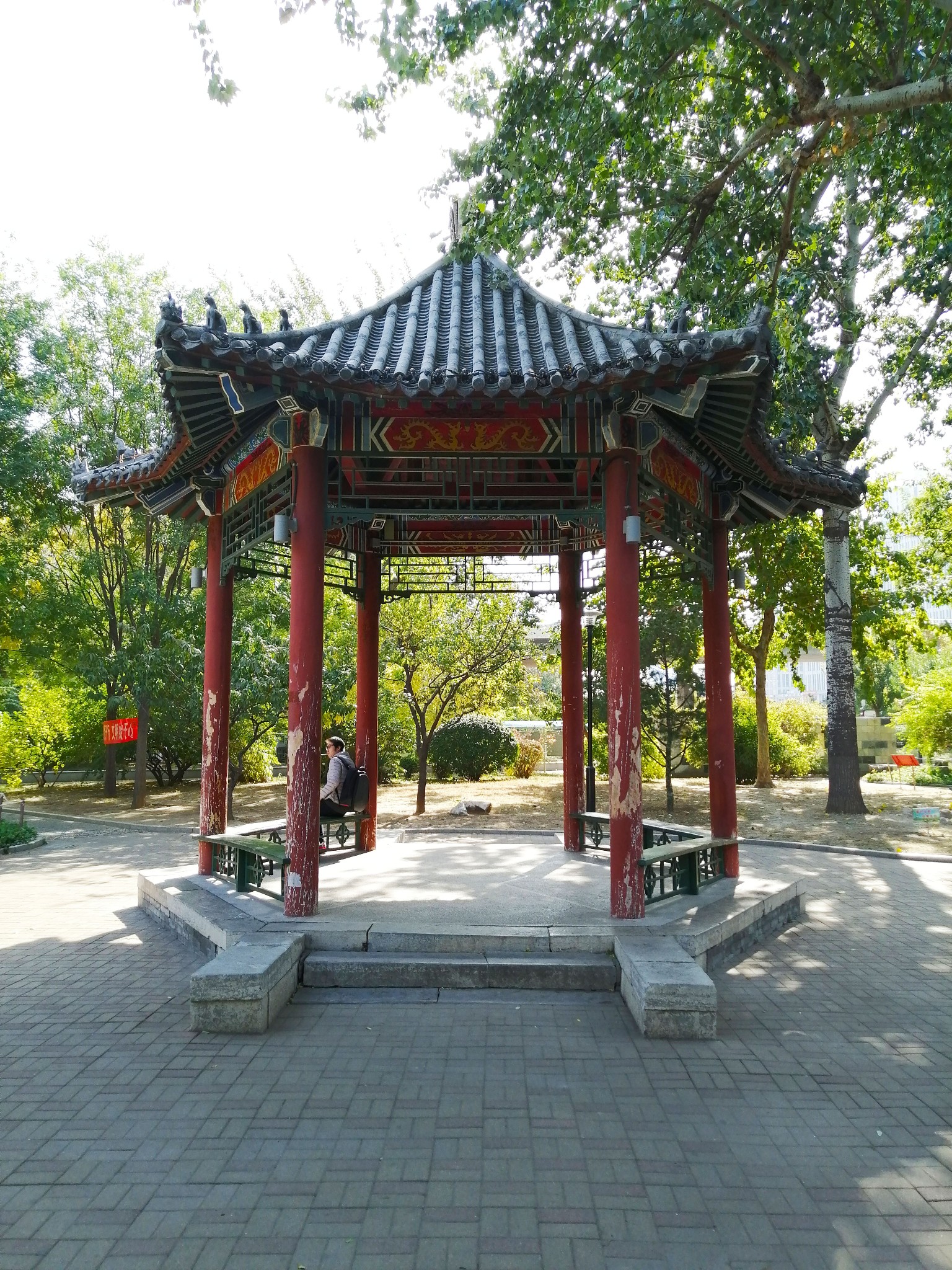 20191026天津街拍之金钢公园和金钢桥