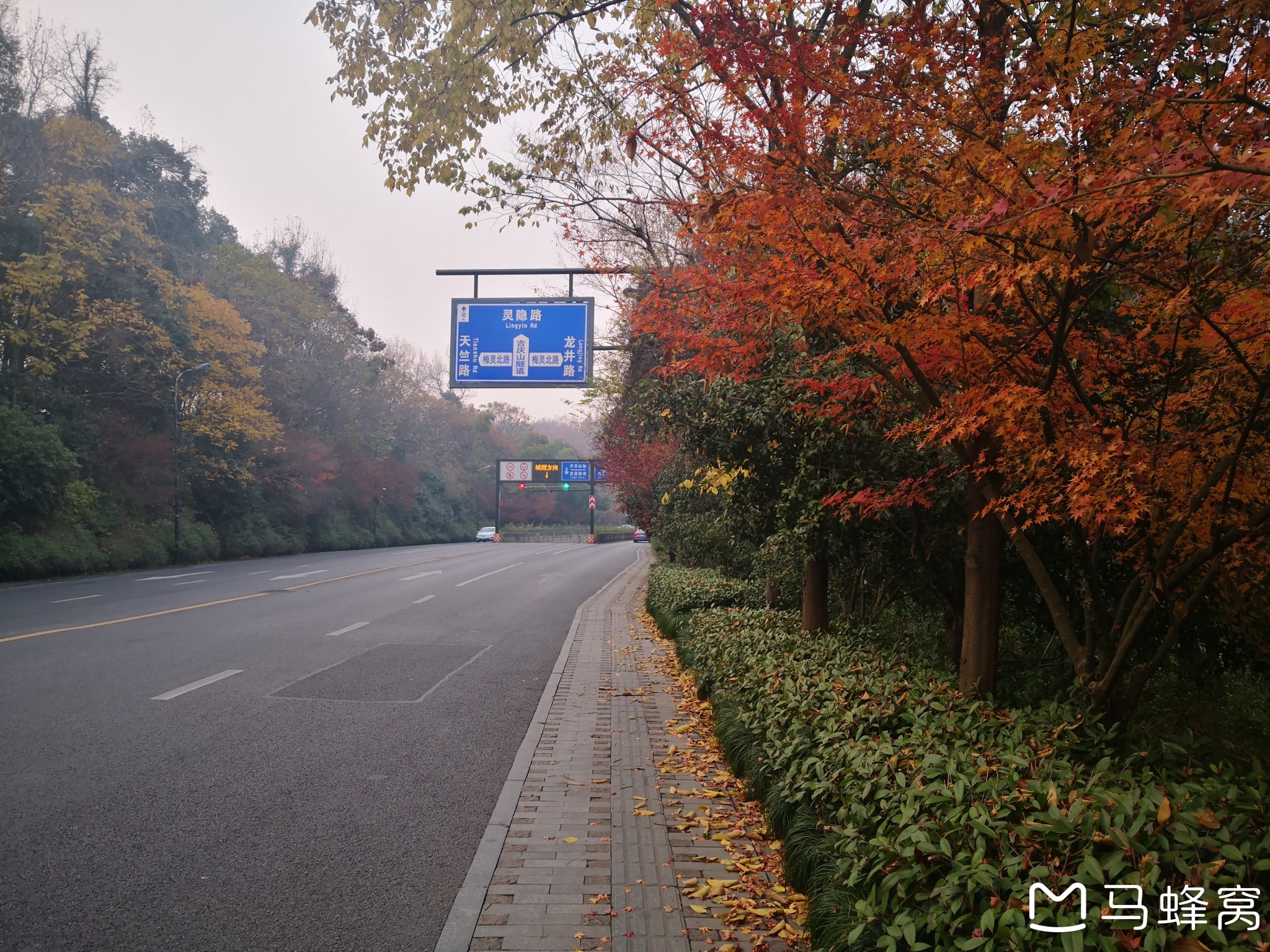 立馬回頭車站,石蓮亭,植物園),杭州旅遊攻略 - 馬蜂窩