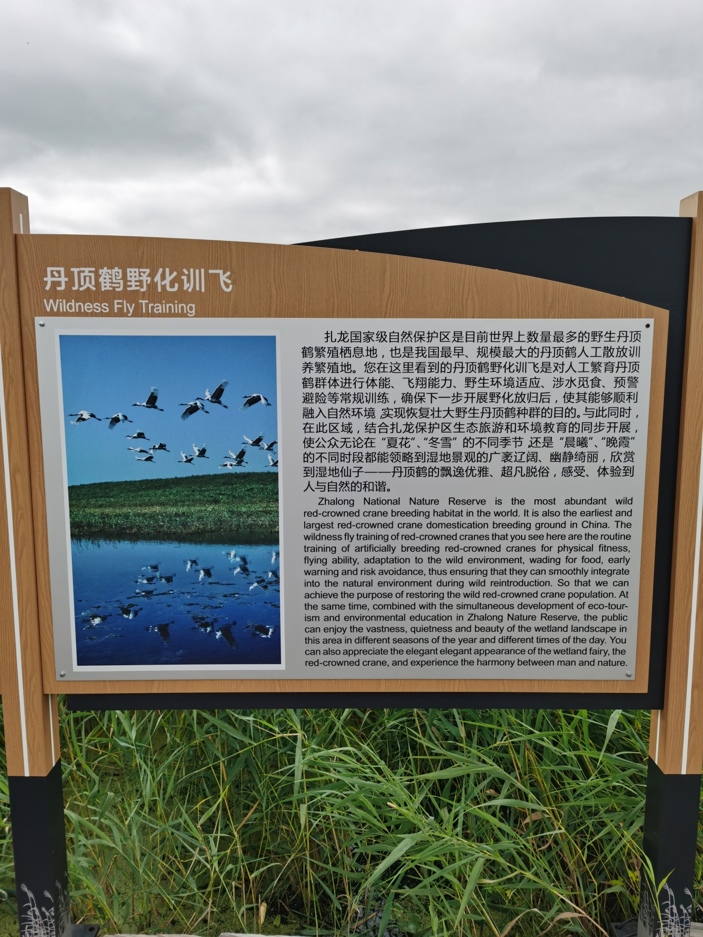 千里会战友，返程游鹤乡