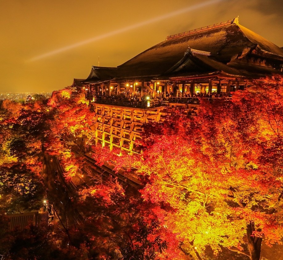 京都清水寺赏夜枫出游计划 收获不一样的感动 手机马蜂窝