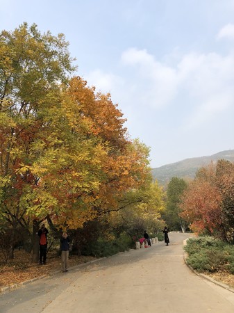 木兰园旅游图片,木兰园自助游图片,木兰园旅游景点照片 - 马蜂窝图库