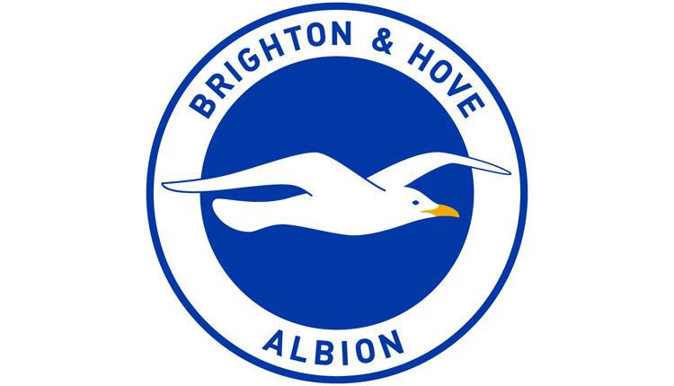 搏击长空的海鸥——布莱顿足球队