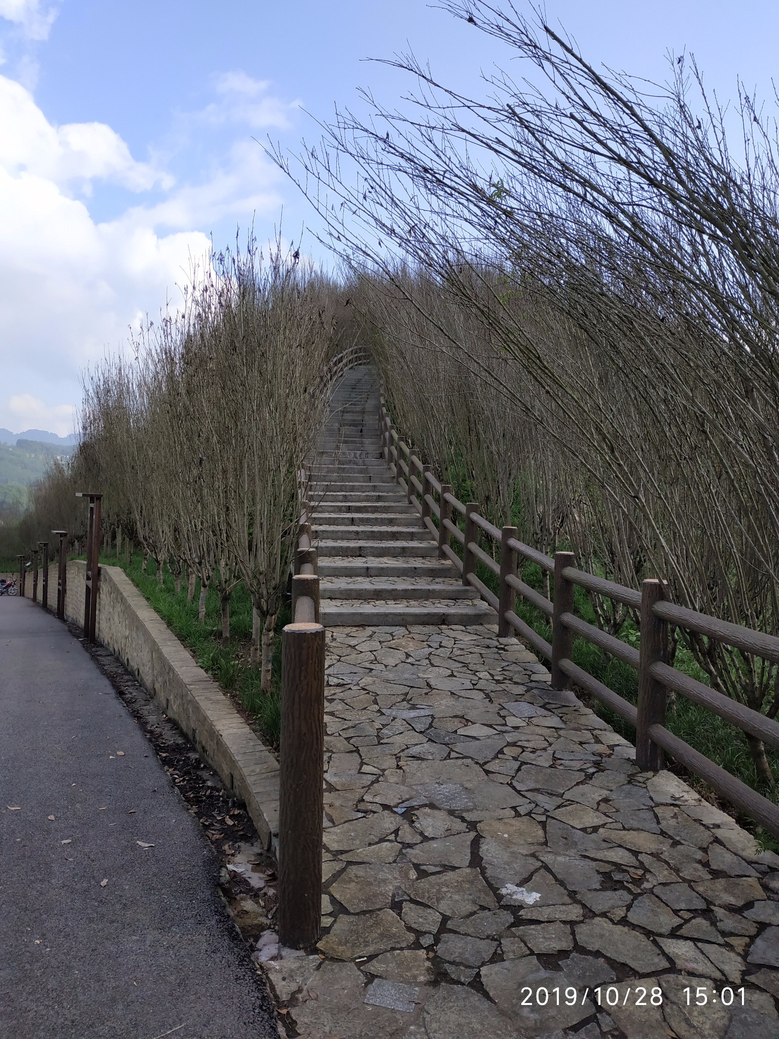 重庆郊区赏红叶三