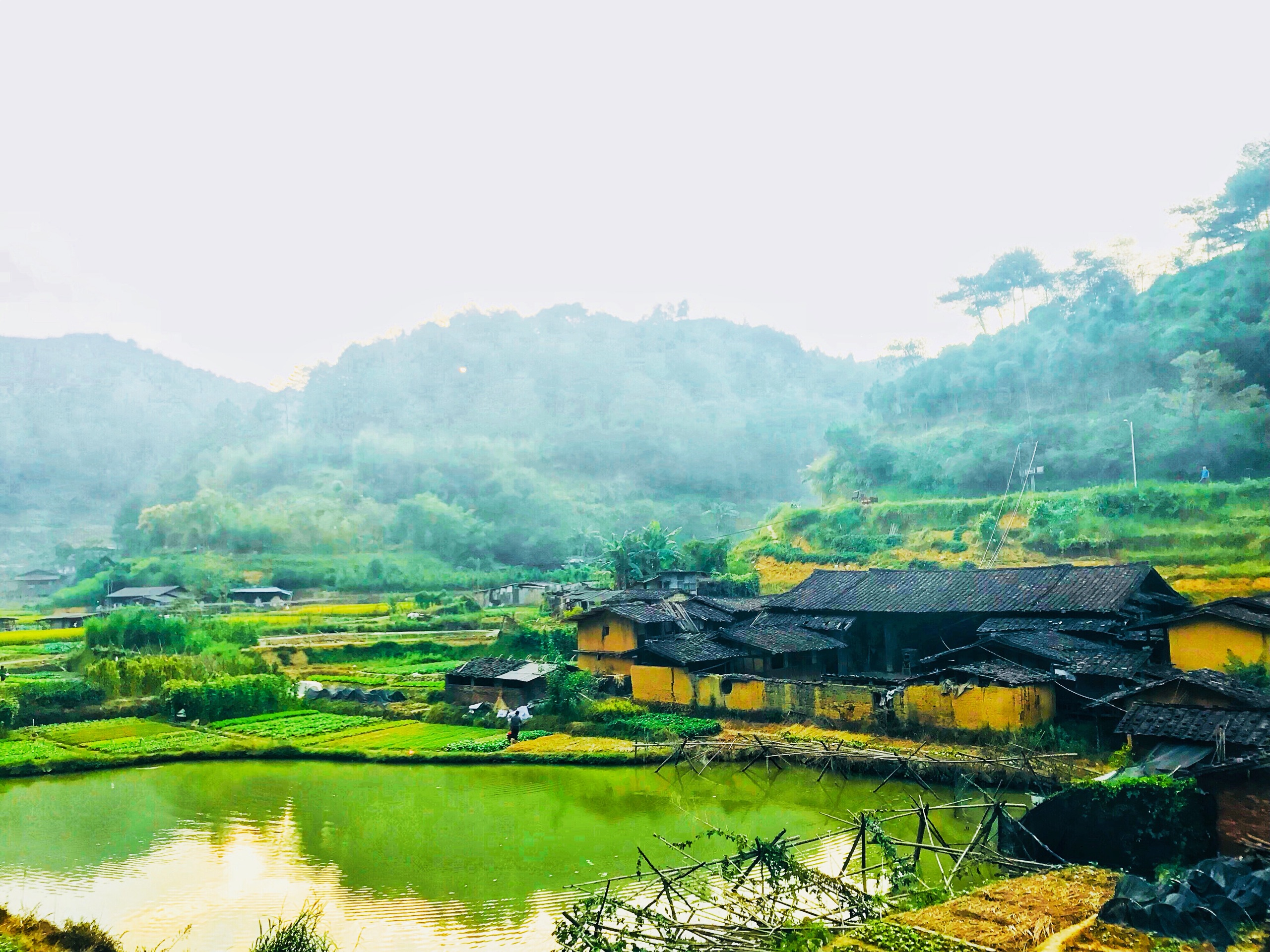 【大田县景点图片】白岩公园