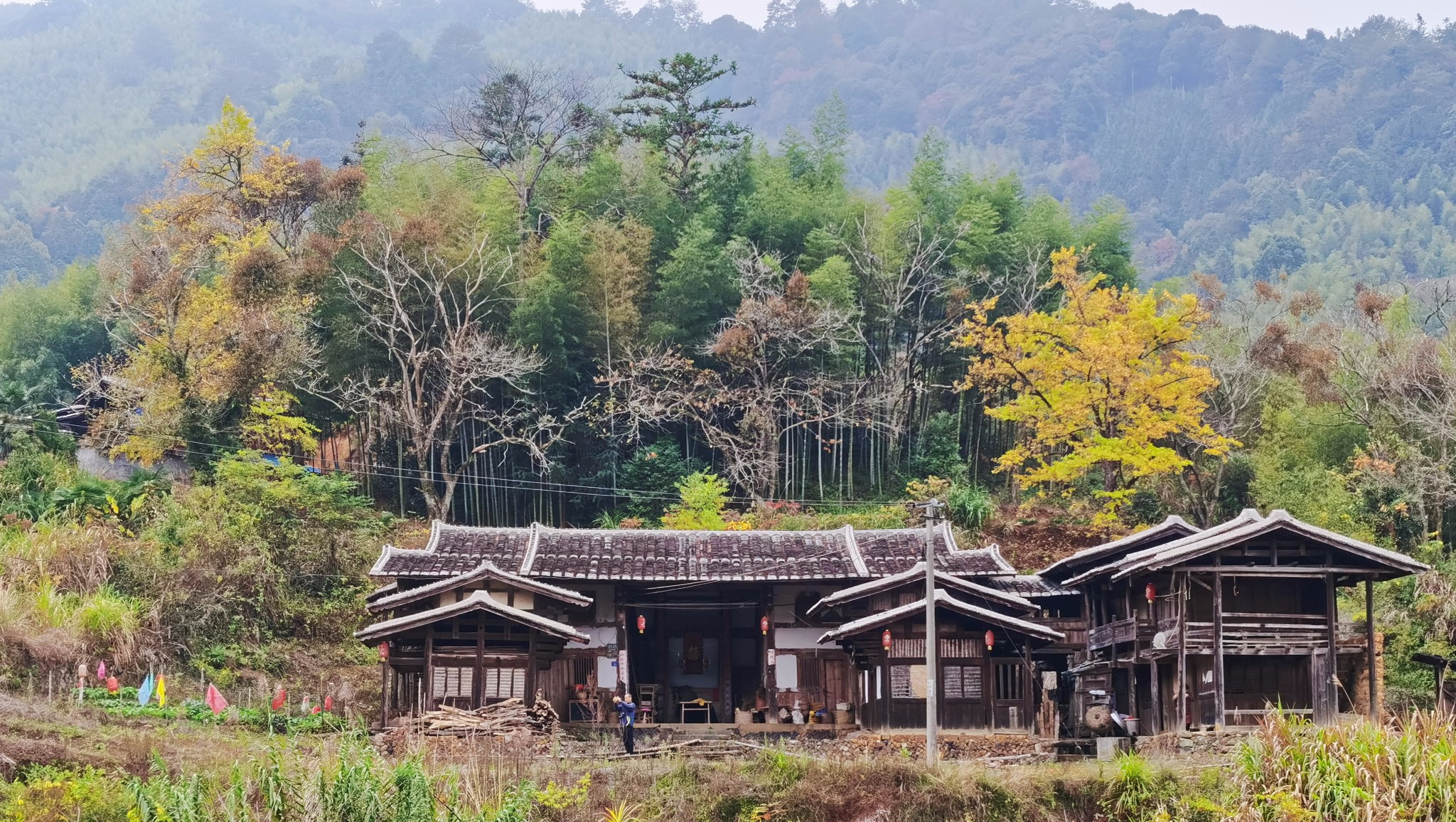 一场说走就走的旅行(尤溪龙门场银杏村匆匆一日游)