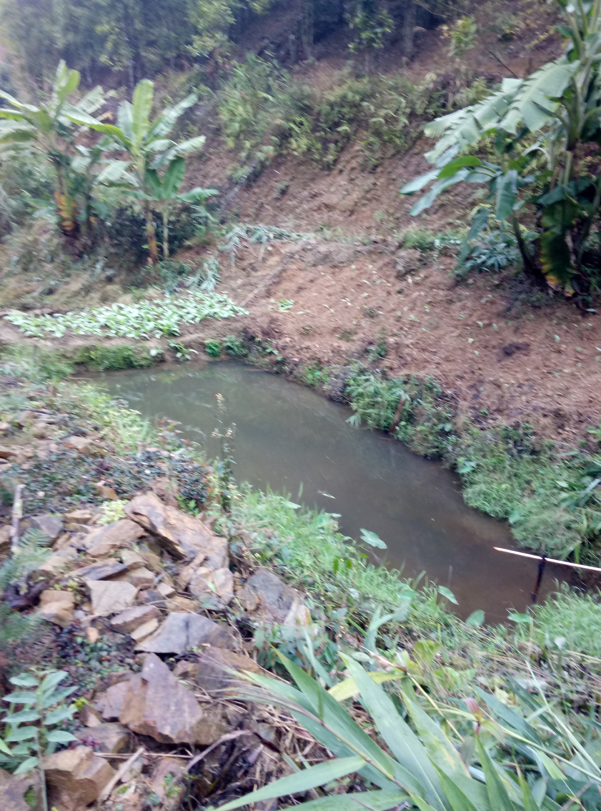 【蒙山县景点图片】羽生谷悠闲养生基地