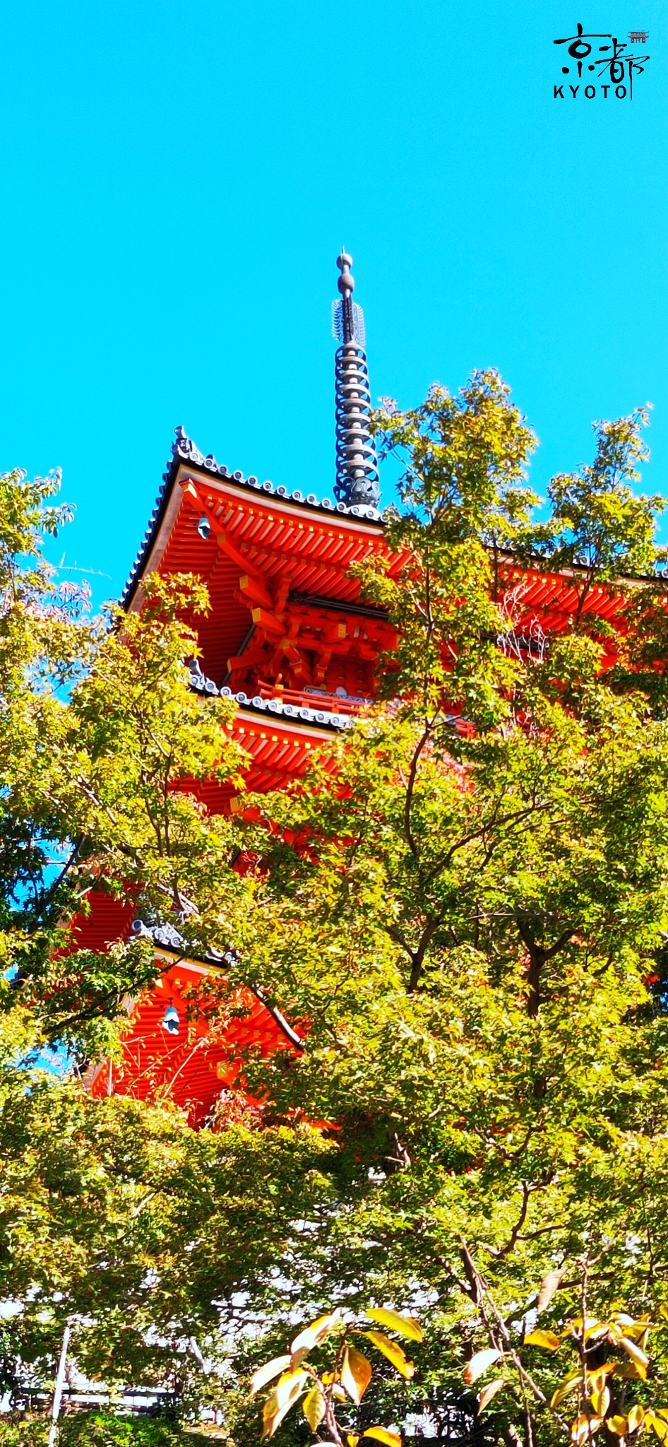 日本千年古都秋季半自助游-京都,大阪,奈良(秋の京都を旅する)
