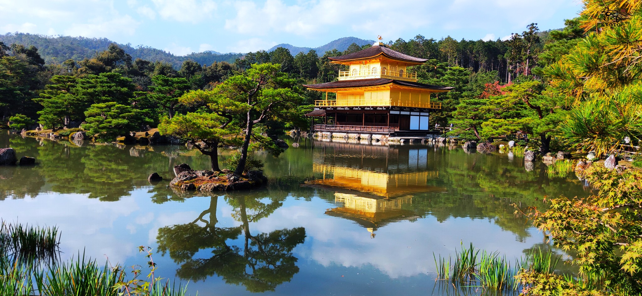 日本千年古都秋季半自助游-京都,大阪,奈良(秋の京都を旅する)