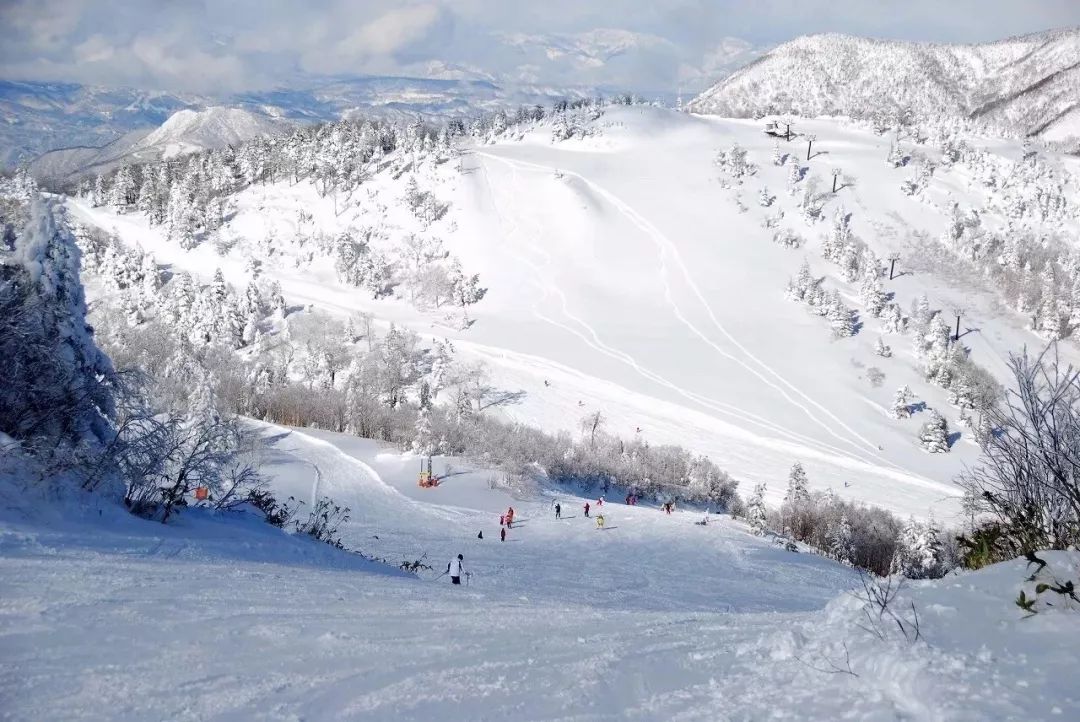 长野县 白马八方尾根滑雪场