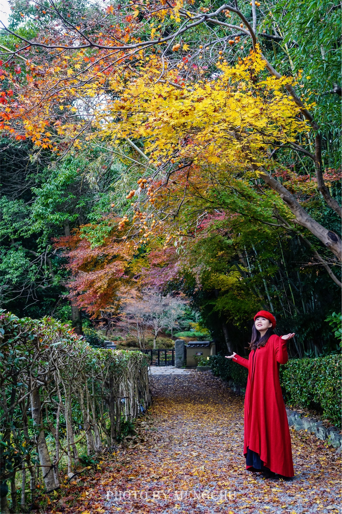 京都热门游记 京都自助游游记 京都旅游热门游记 马蜂窝