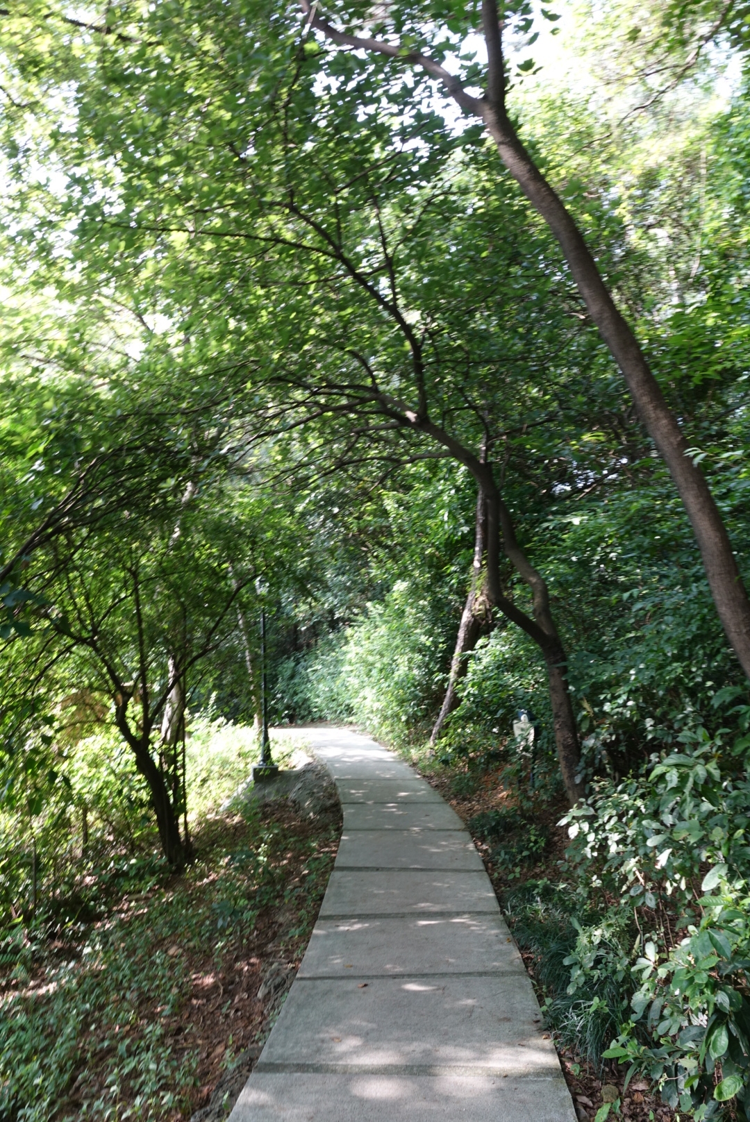 牛山炮台公园,广州旅游攻略 - 马蜂窝