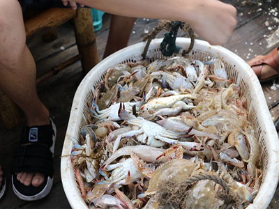 宁波象山包船捕鱼乐趣多