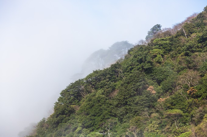 人间朝暮,草黄惊秋,惊鸿一瞥,秋落武功山 人间朝暮,草黄惊秋,惊鸿一瞥,秋落武功山
