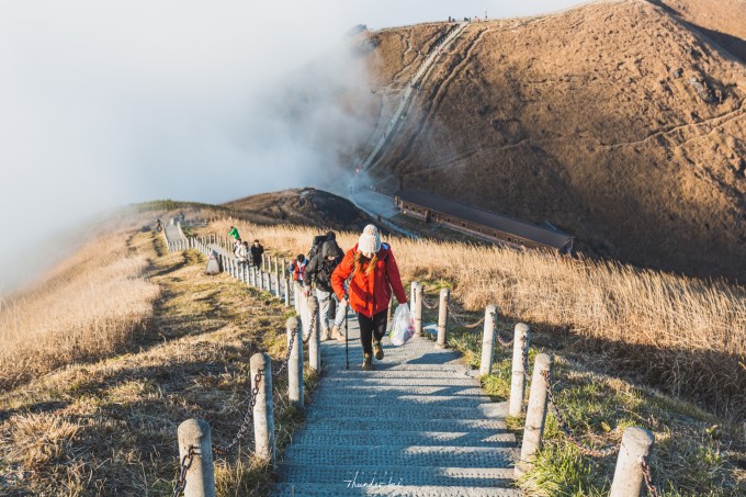 人间朝暮,草黄惊秋,惊鸿一瞥,秋落武功山 人间朝暮,草黄惊秋,惊鸿一瞥,秋落武功山