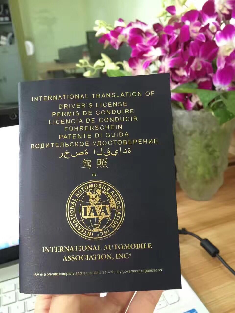 带着国际驾照畅游越南